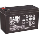 Fiamm FG20721
