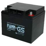 Fiamm FG24204
